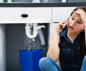 About Plumbers Pros Lake Bronson, MN